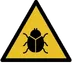 Désinfection des virus et logiciels malveillants